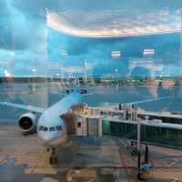 Vibrant again, Incheon International Airport