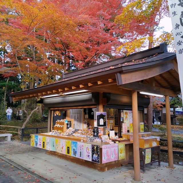 岩手県！秋の世界遺産中尊寺！｢目｣に御利益ある峯薬師堂