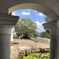 Dambulla Cave Temple