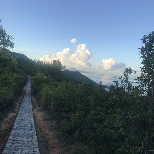 親子行山好去處 適合新手 🏔 青衣自然教育徑