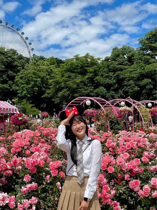 내년 6월 꼭 가야할 에버랜드 장미축제🌹🌷