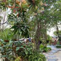 ประกาย Prakai Cafe & Cuisine