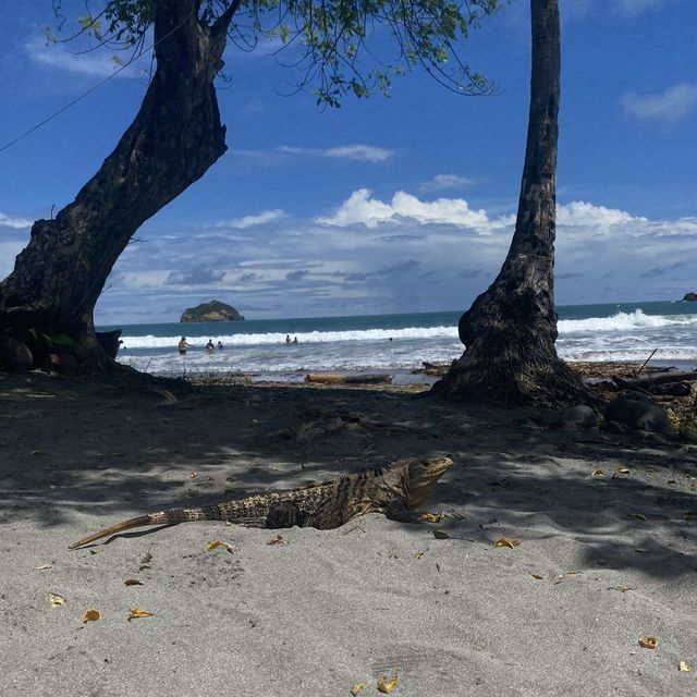 Manuel Antonio Beach