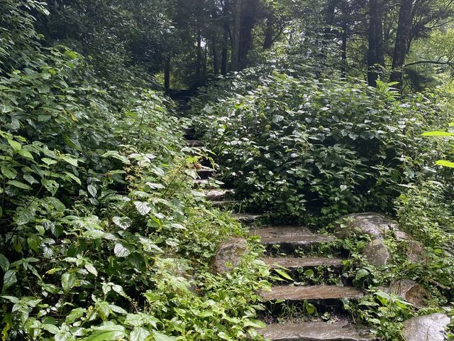 Beautiful Trails in Smokies