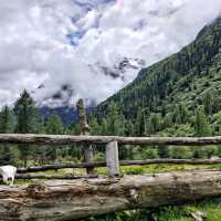 trek in Changping valley , mount siguniang 