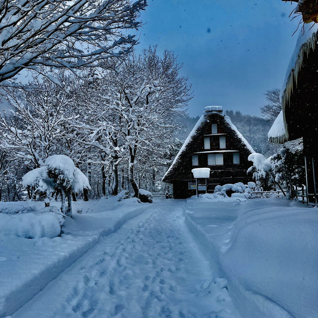 Snow Magic in Shirakawa-go