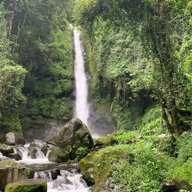 Mt Kilimanjaro,Mongion waterfall,