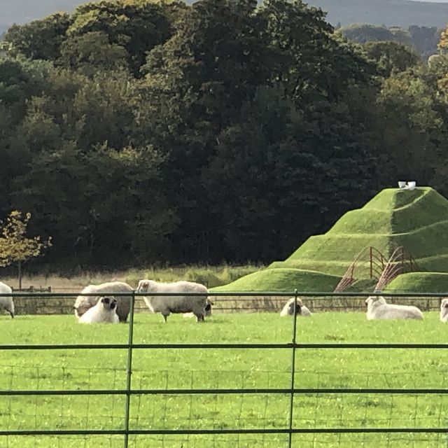 愛丁堡晴天樂悠遊好去處 Jupiter Artland