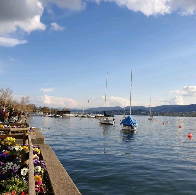 Beautiful Zurich 