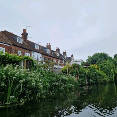 So green and so beatiful Canterbury