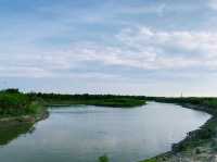 Lingang quest - Wetlands