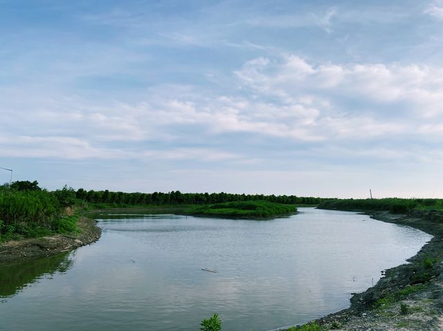 Lingang quest - Wetlands