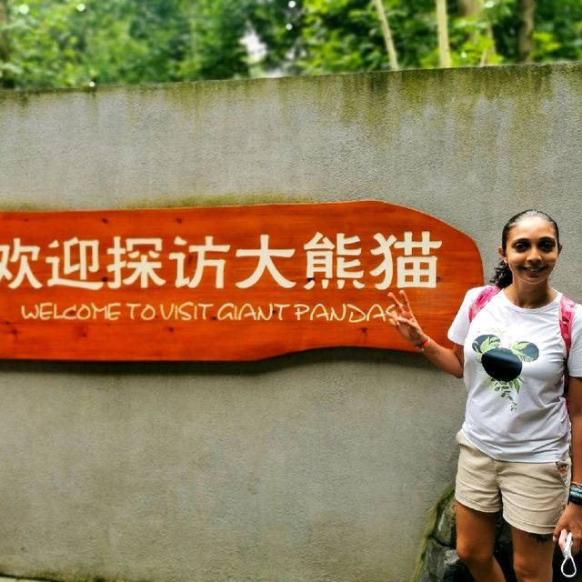 Giant Panda Research Base in Chengdu