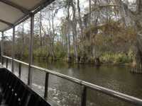 Steamboats and Swamp boat in N'awlins