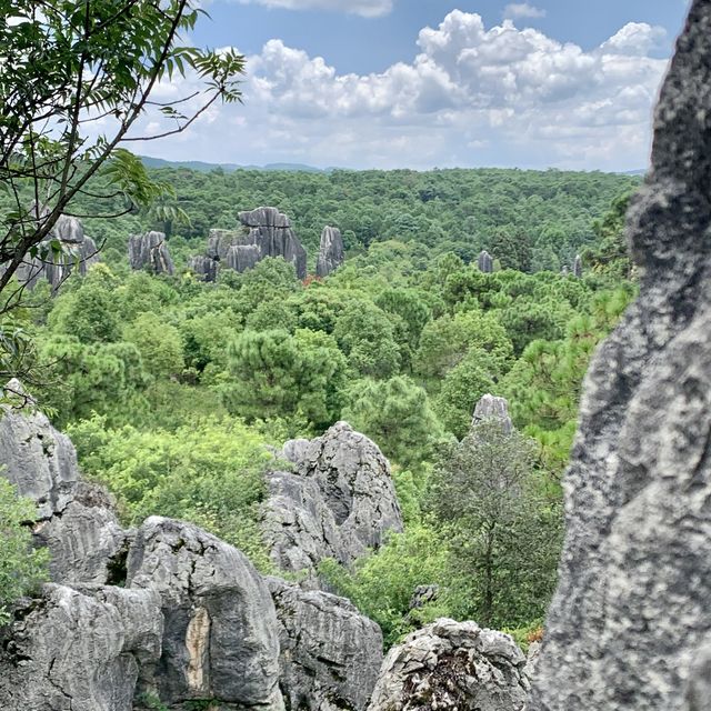 Shilin Stone Forest - Kunming, Yunnan