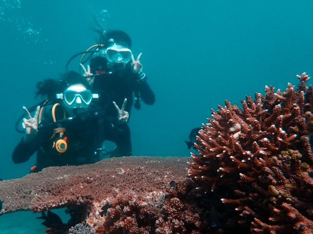 Must go diving in PG Island, Philippines!