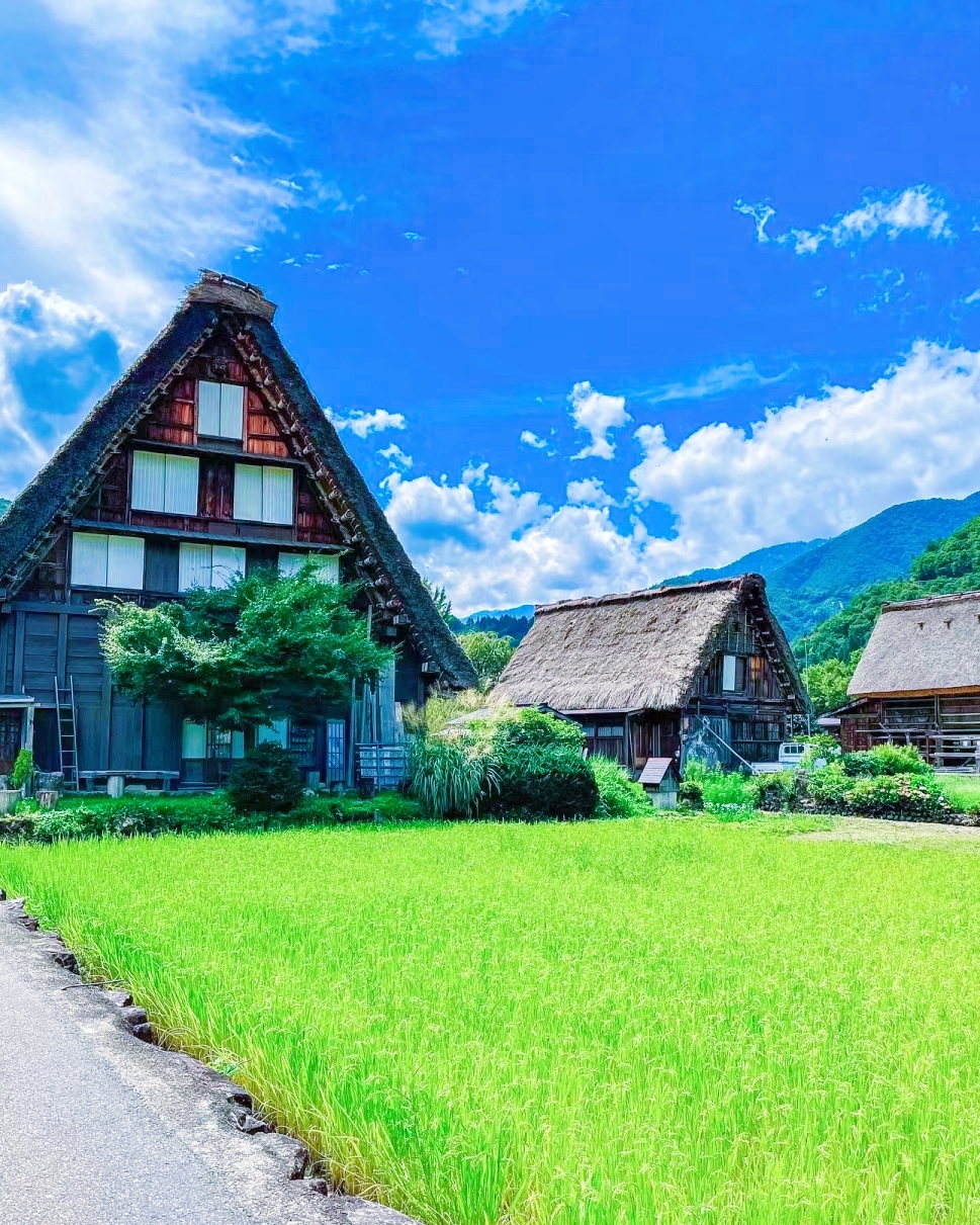 Anime View of a Small Japanese Village Stock Illustration  Illustration  of roof home 274036503