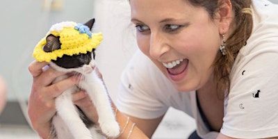 May Kitten Yoga to Benefit the AWLA | Animal Welfare League of Arlington
