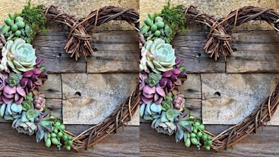 Make + Take: Succulent Heart Wreath | Rockledge Gardens