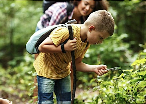 Encinitas Explorers Camp - Week 1: Nature's Architects | 95 N Vulcan Ave