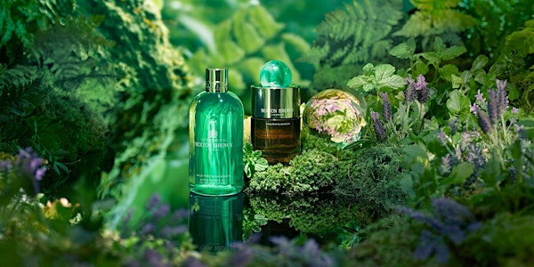 Molton Brown Belfast Forestside - Wild Mint & Lavandin Masterclass | Molton Brown Belfast Forestside