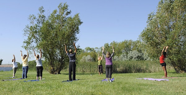 Forest Yoga and Meditation - Windsor Great Park, Sunday 7 September | Windsor Great Park Environmental Centre