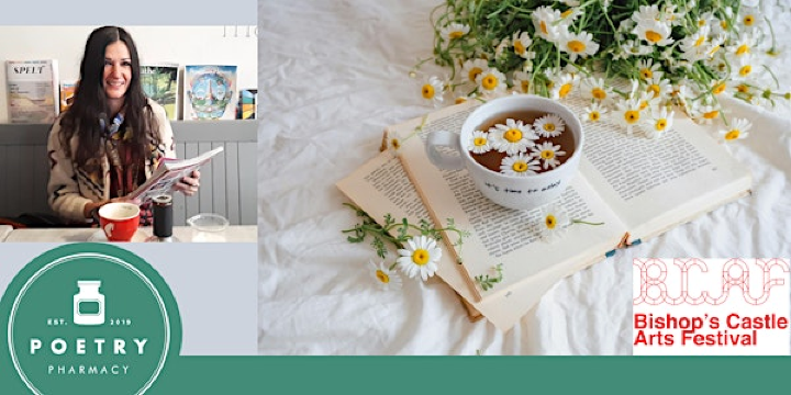 Writing from Stillness with Sarah Holland | The Poetry Pharmacy Lab