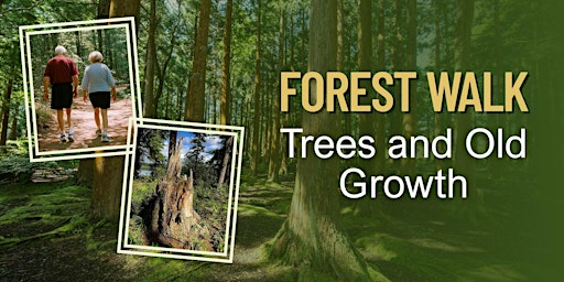 Forest Walk: Trees and Old Growth | Ken Seiling Waterloo Region Museum