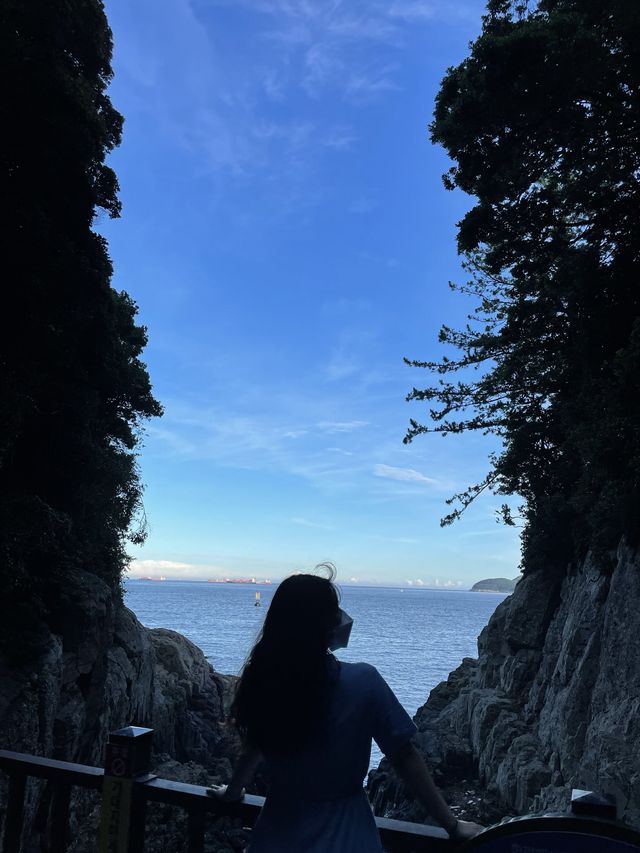 [여수] 오동도