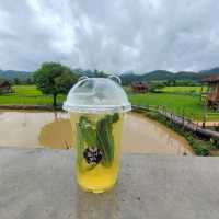บ้านนอก ฮอกควาย สบายๆ เมืองคอง