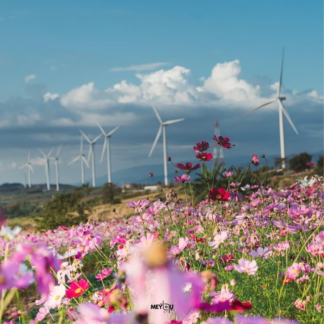 Khao Kho