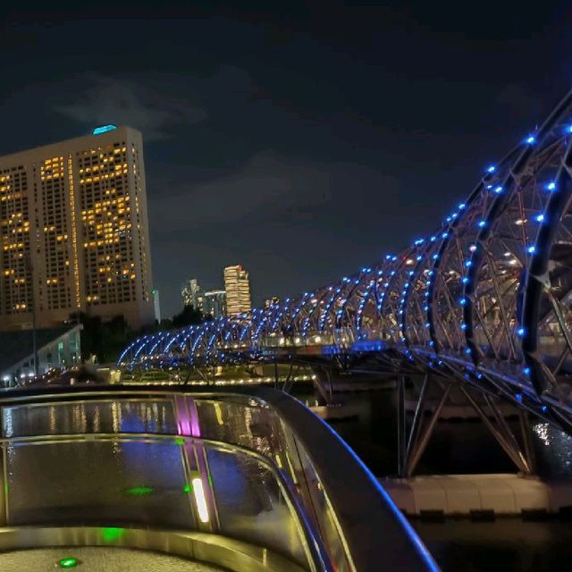 Night View from Helix Bridge