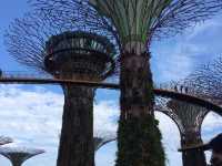 新加坡- GARDENS BY THE BAY 