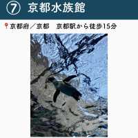 【京都】行ってよかった京都の観光地7選