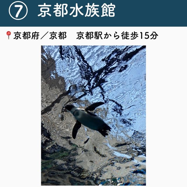 【京都】行ってよかった京都の観光地7選