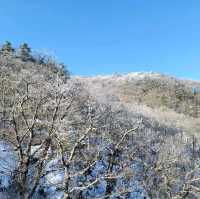 손쉽게 산 정상에서 눈꽃을 볼 수 있는 덕유산 리조트