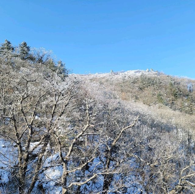 손쉽게 산 정상에서 눈꽃을 볼 수 있는 덕유산 리조트