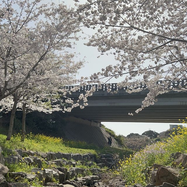 제주 올레길 8코스