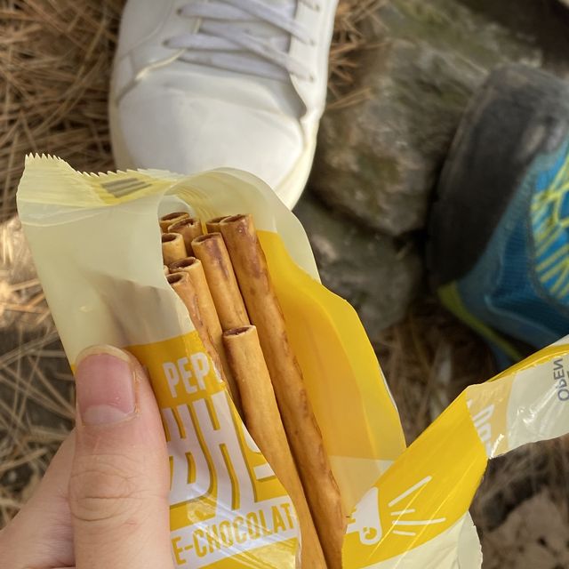 가볍게 오르기 좋은 등린이 추천산 , 청계산⛰