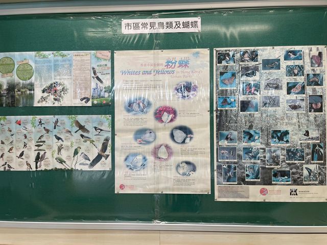 自然保育@展覽室！
