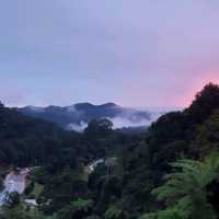 Cameron Highlands 