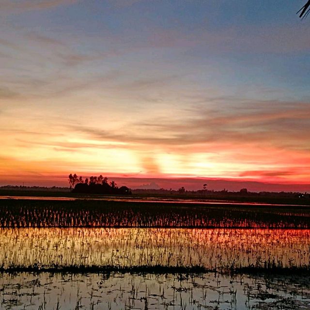 Beauty of rural Bangladesh 