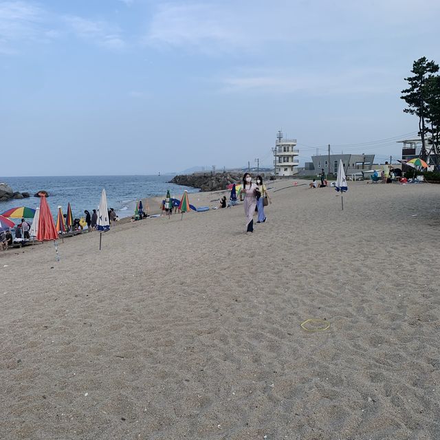 느슨해진 여름에 행복감을 주는 강릉🏖