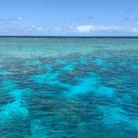 Jewelled sea - natural wonder downunder
