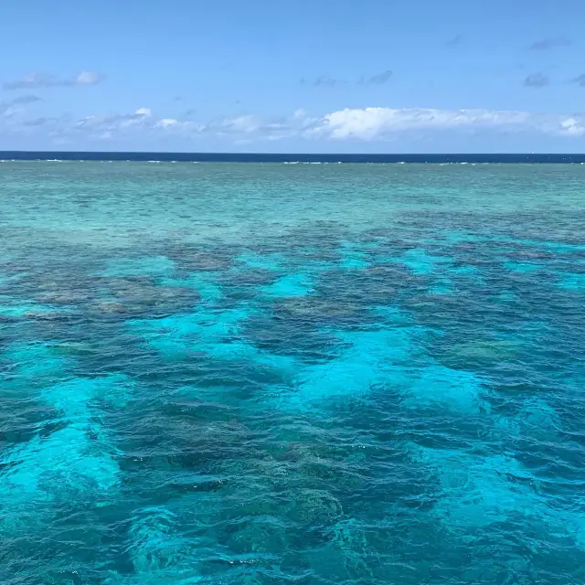 Jewelled sea - natural wonder downunder