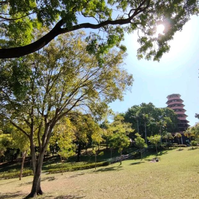 偷得浮生半日閑😎