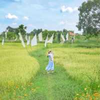 คาเฟ่นครนายก! เกาหลี เกาใจ ธรรมชาติสุดๆ สวยมาก