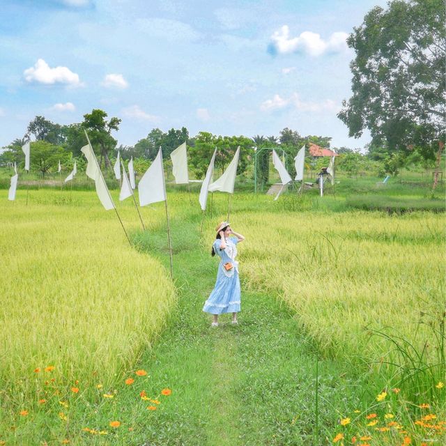คาเฟ่นครนายก! เกาหลี เกาใจ ธรรมชาติสุดๆ สวยมาก