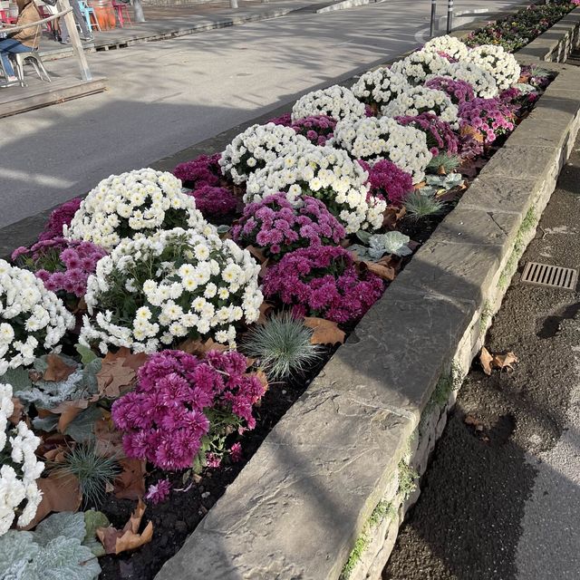 Vevey 