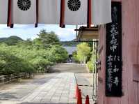 🌸京都 総本山！仁和寺をご紹介